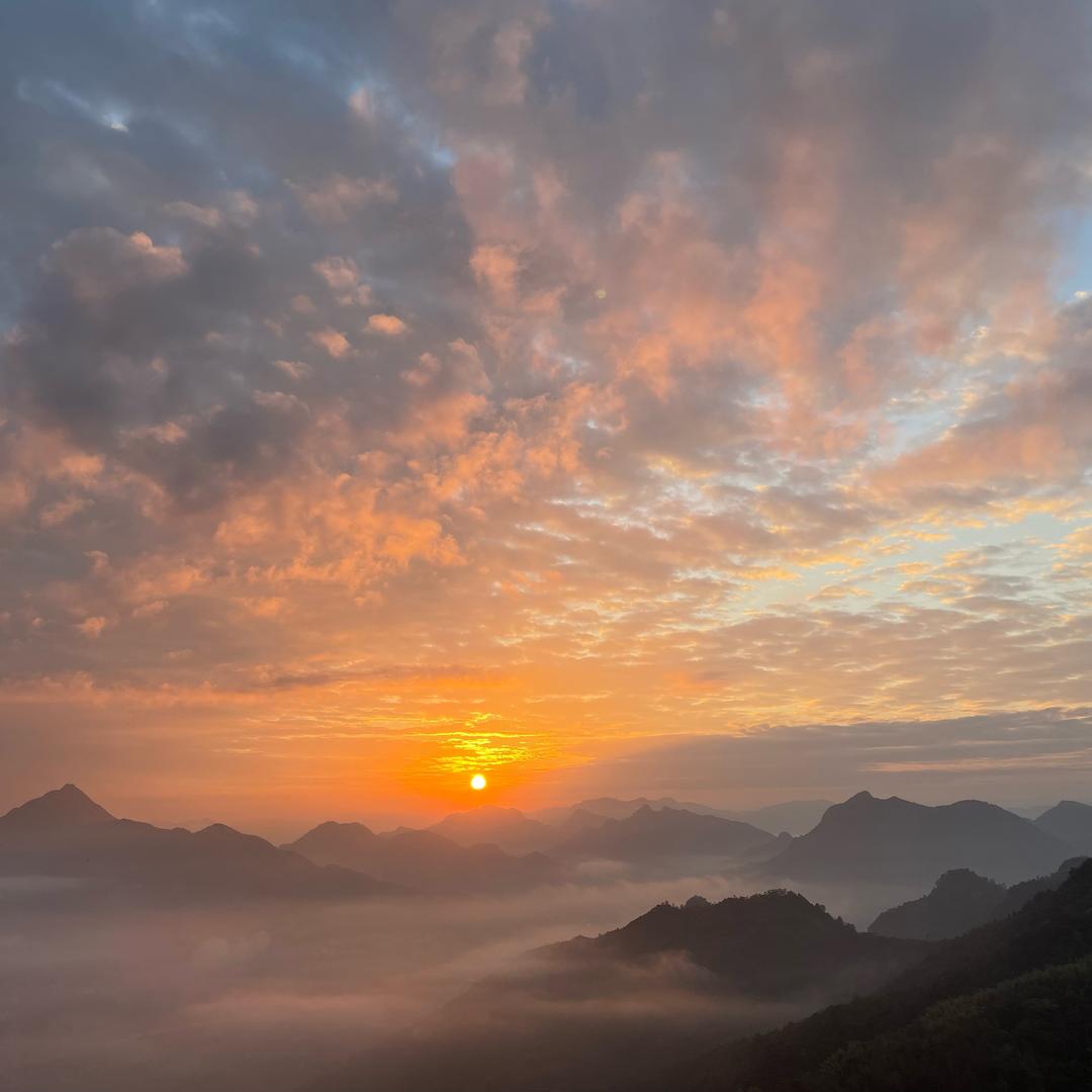 我爱浙C