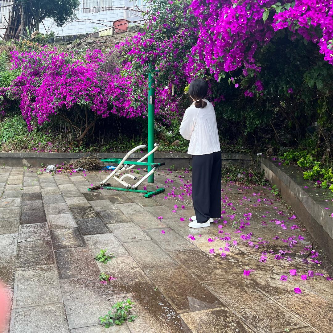🌻向日葵千亩