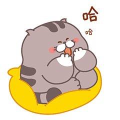 💕一颗小橙子🍊“初橙”