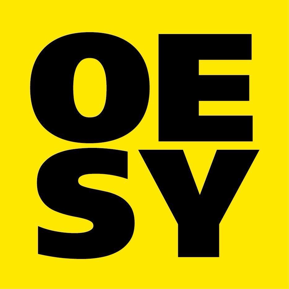 OESY男鞋