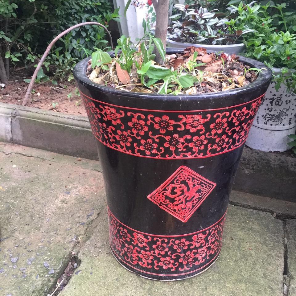 天成24