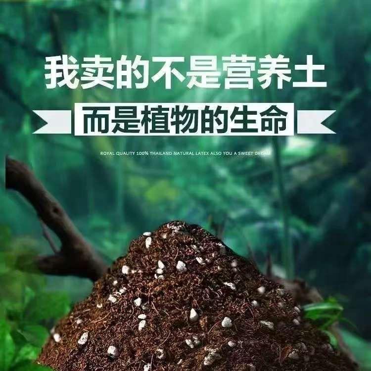 沃花源