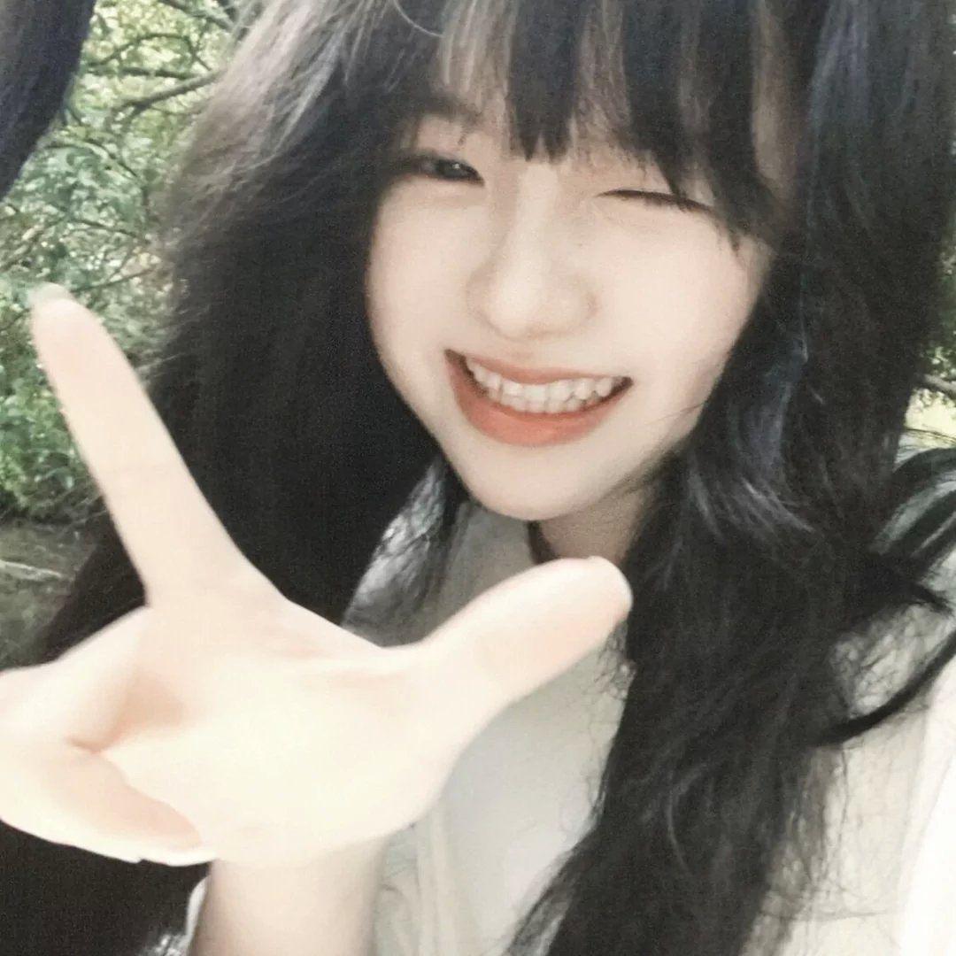 特级海苔