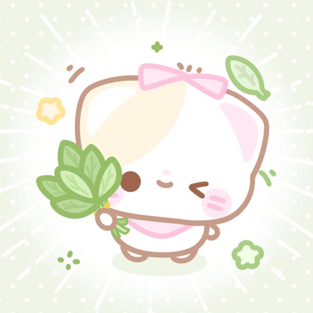 芝士脑袋 ՞⸝⸝'ᜊ'⸝⸝՞