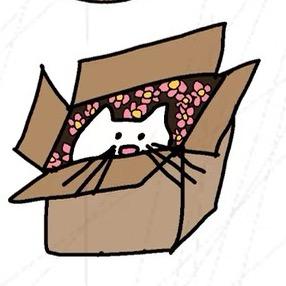睡眠猫猫