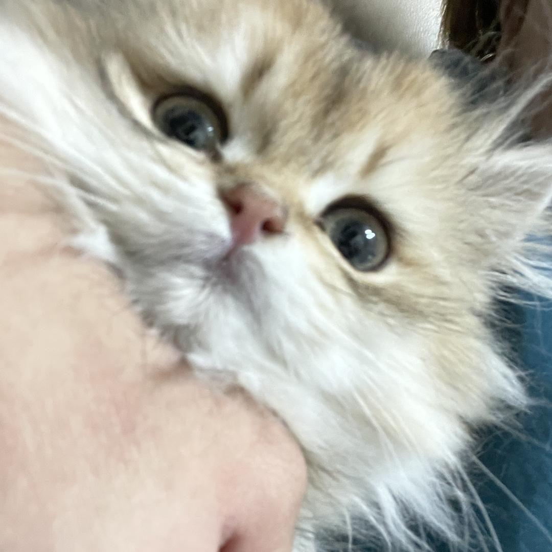 财富代码工作室