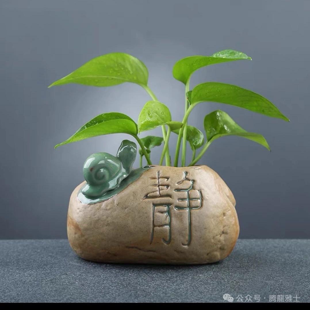 清姐