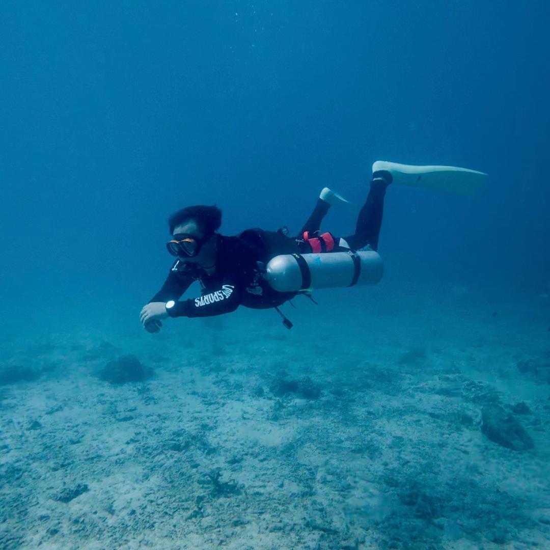 JM绝望的生鱼片