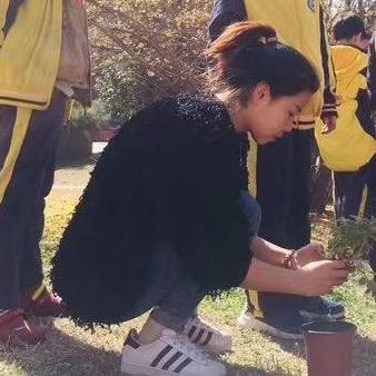 班主任李李