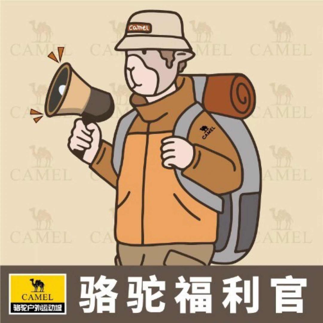 骆驼