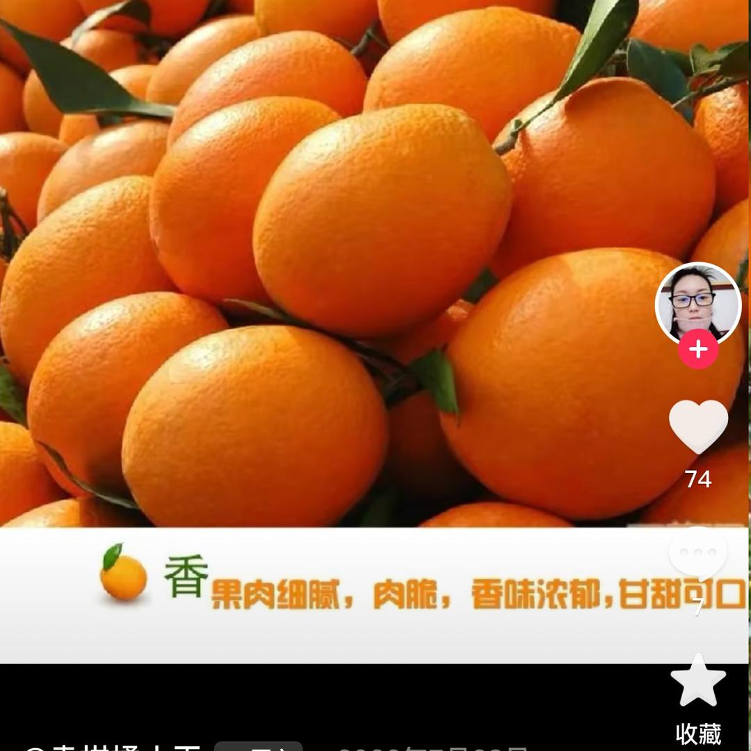 牛大力鲜果