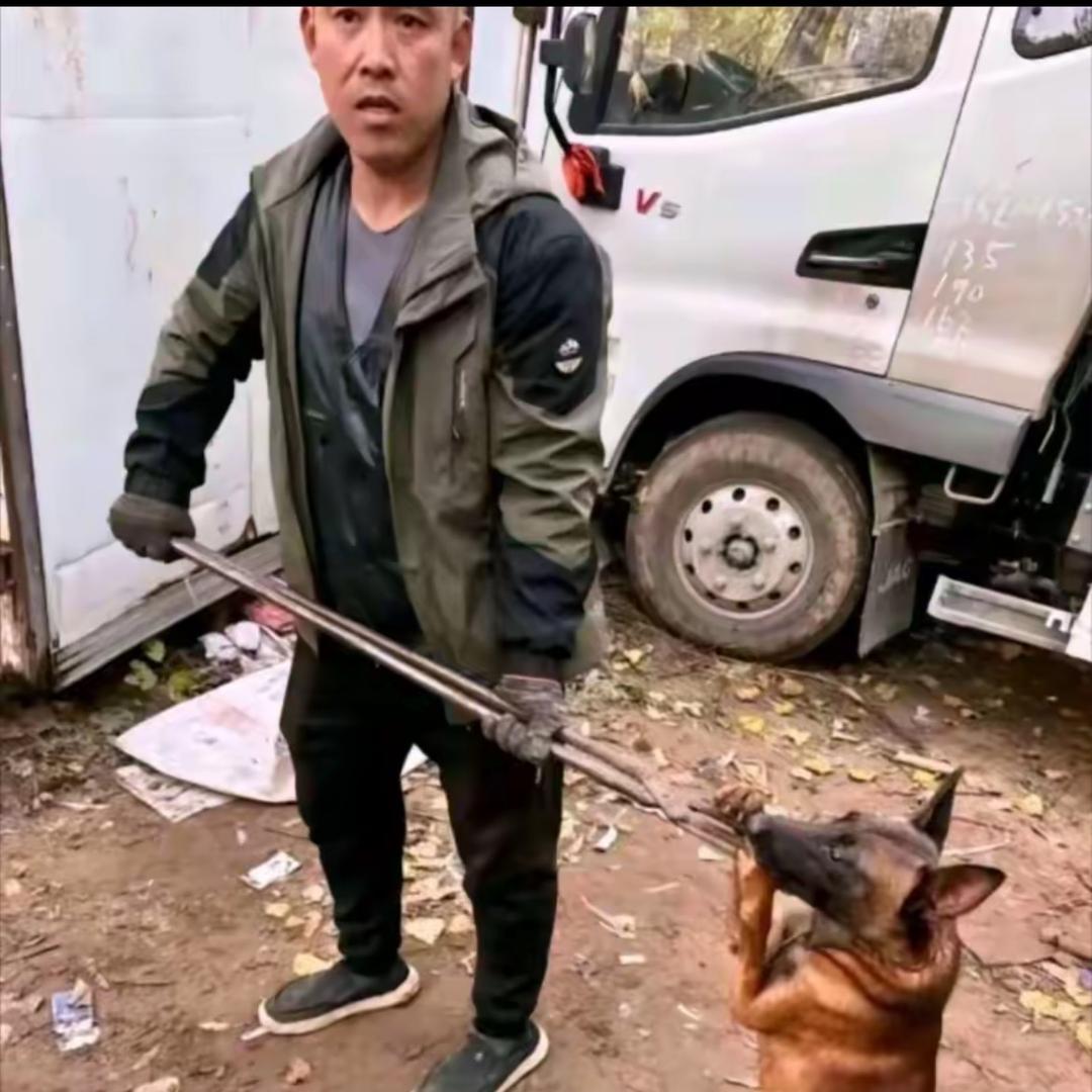 AAAA王哥套狗（专套舔狗）