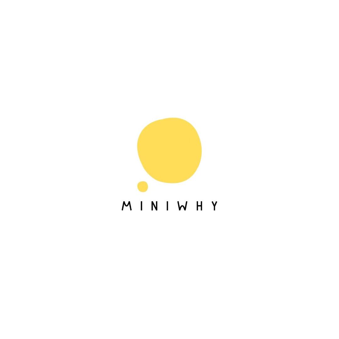 miniwhy