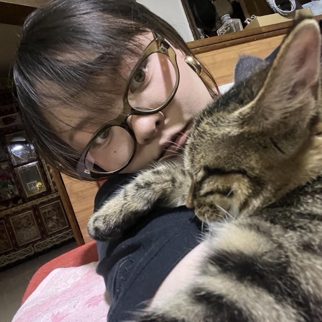 索南昂毛 特别街区