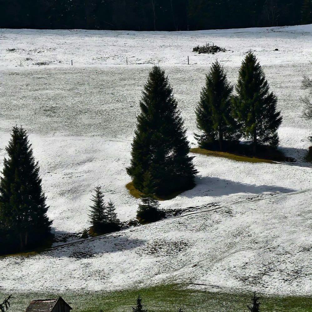 河南曌旅导游小郭