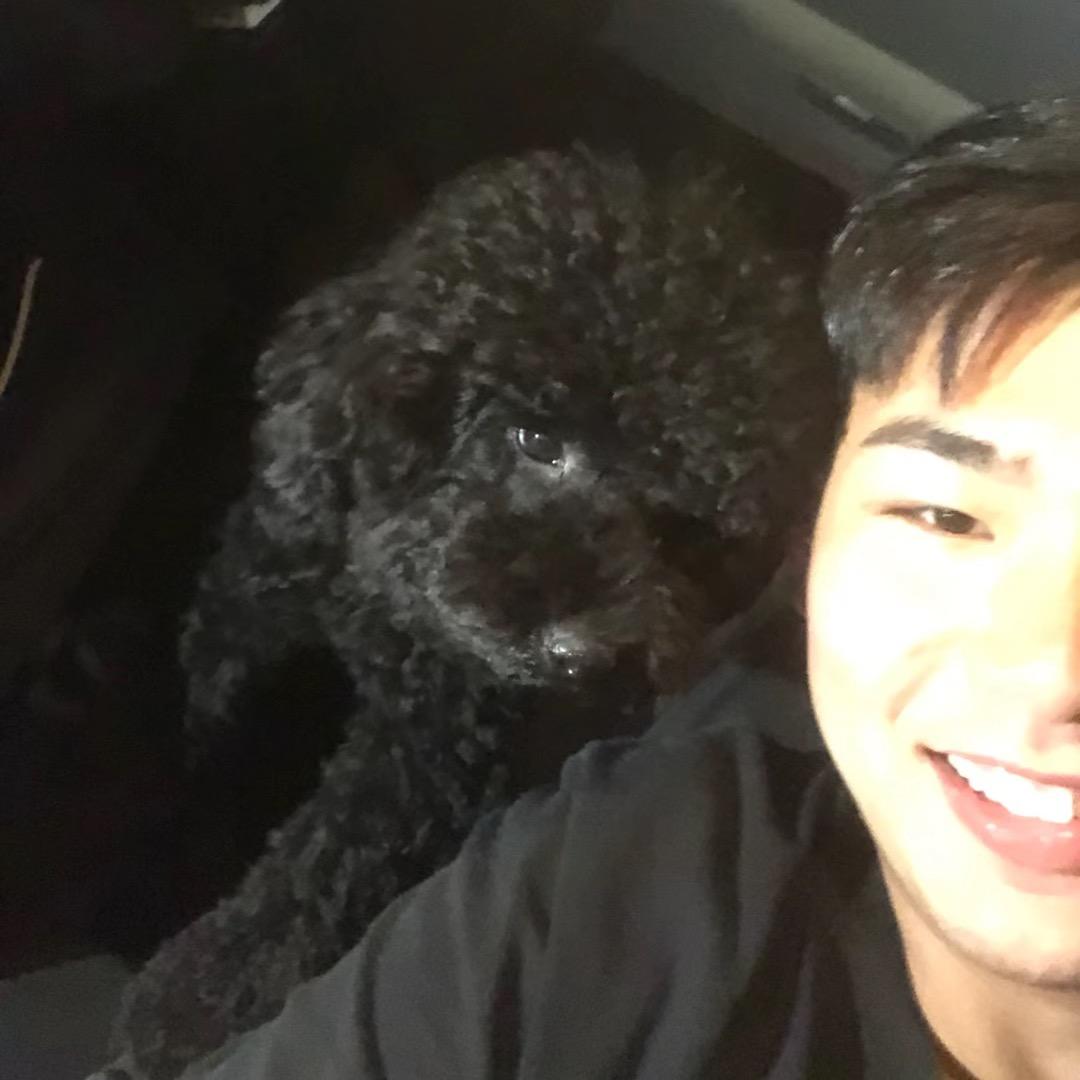 不吃