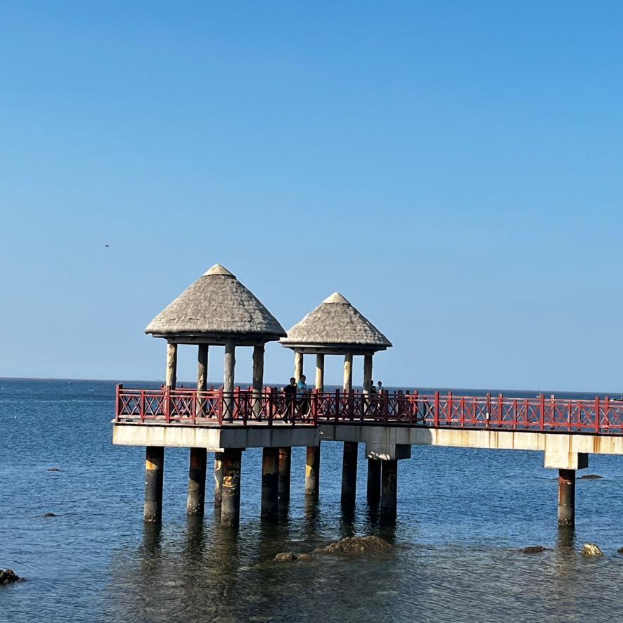雨落倾城夏未凉