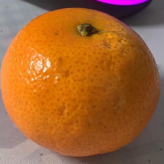 小喜丨热销分享