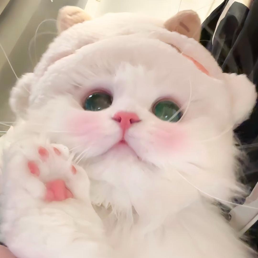 你的爱播🎀