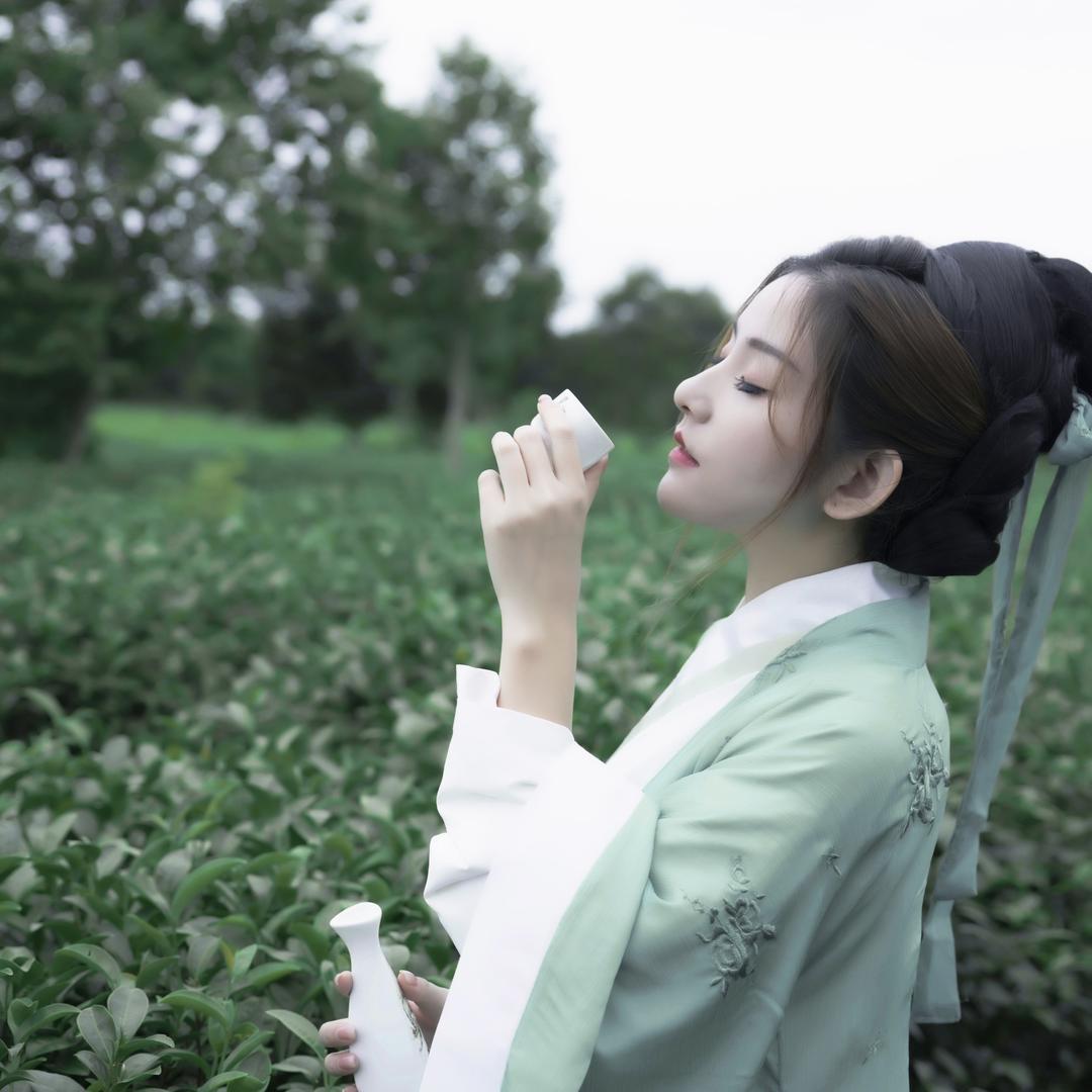 格格福鼎白茶企业店4号