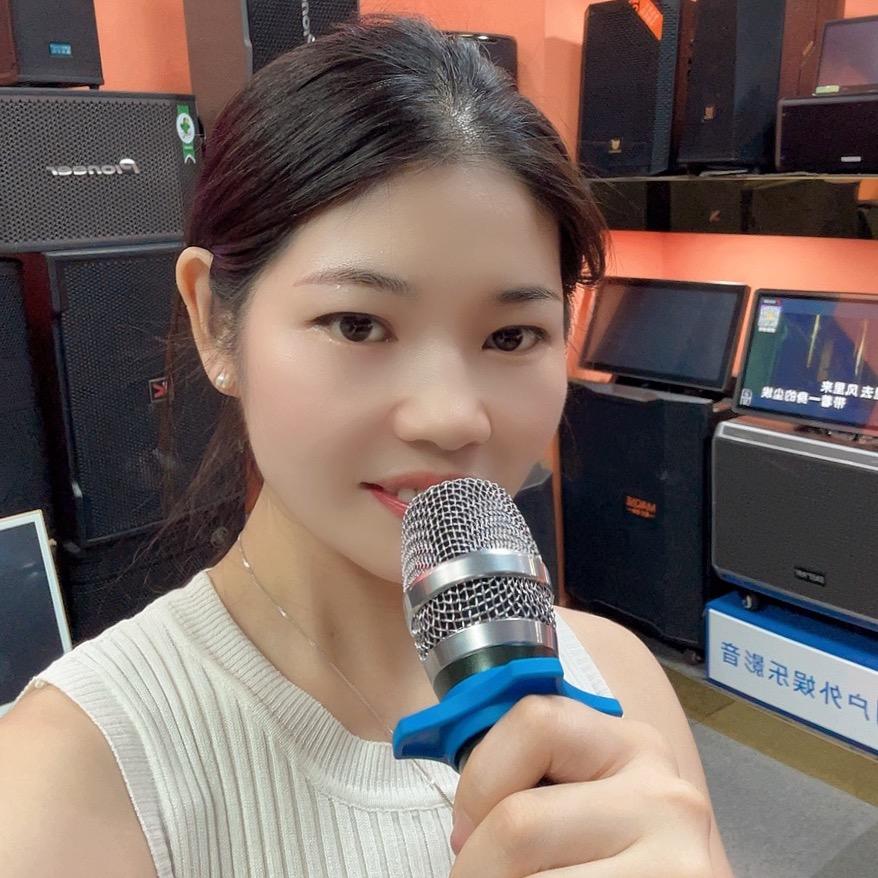 中山沙岗墟音响阿新