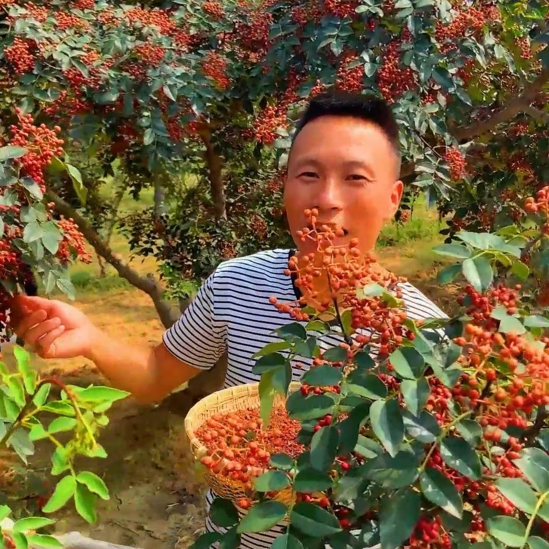 小杨生鲜果蔬