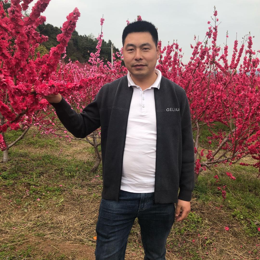 军哥专业瓦屋顶改造