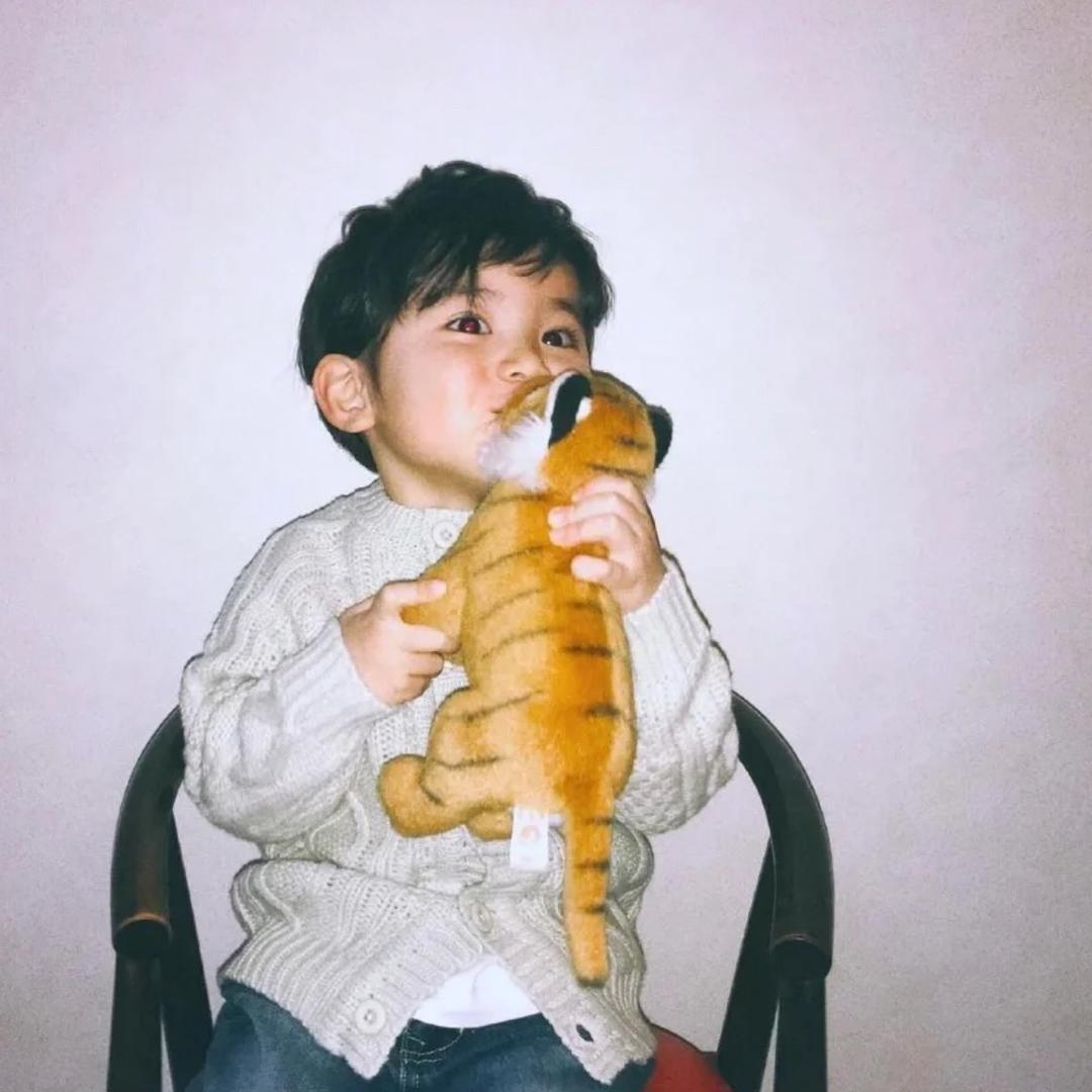 梨花诗我是菠萝吹雪