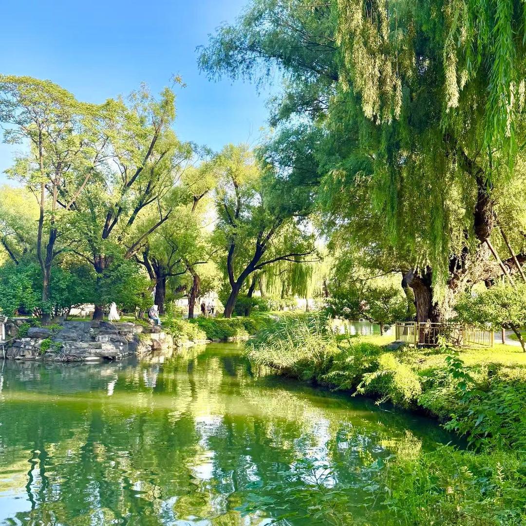 秦小凤