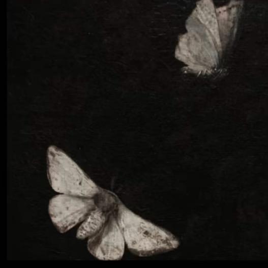 𝙈𝙖𝙠𝙖𝙗𝙖𝙠𝙖.