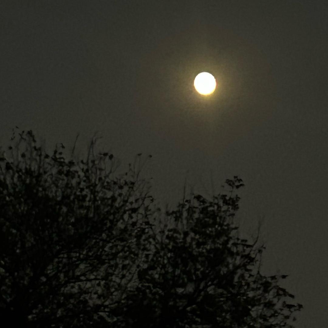 天地术算赵晦之