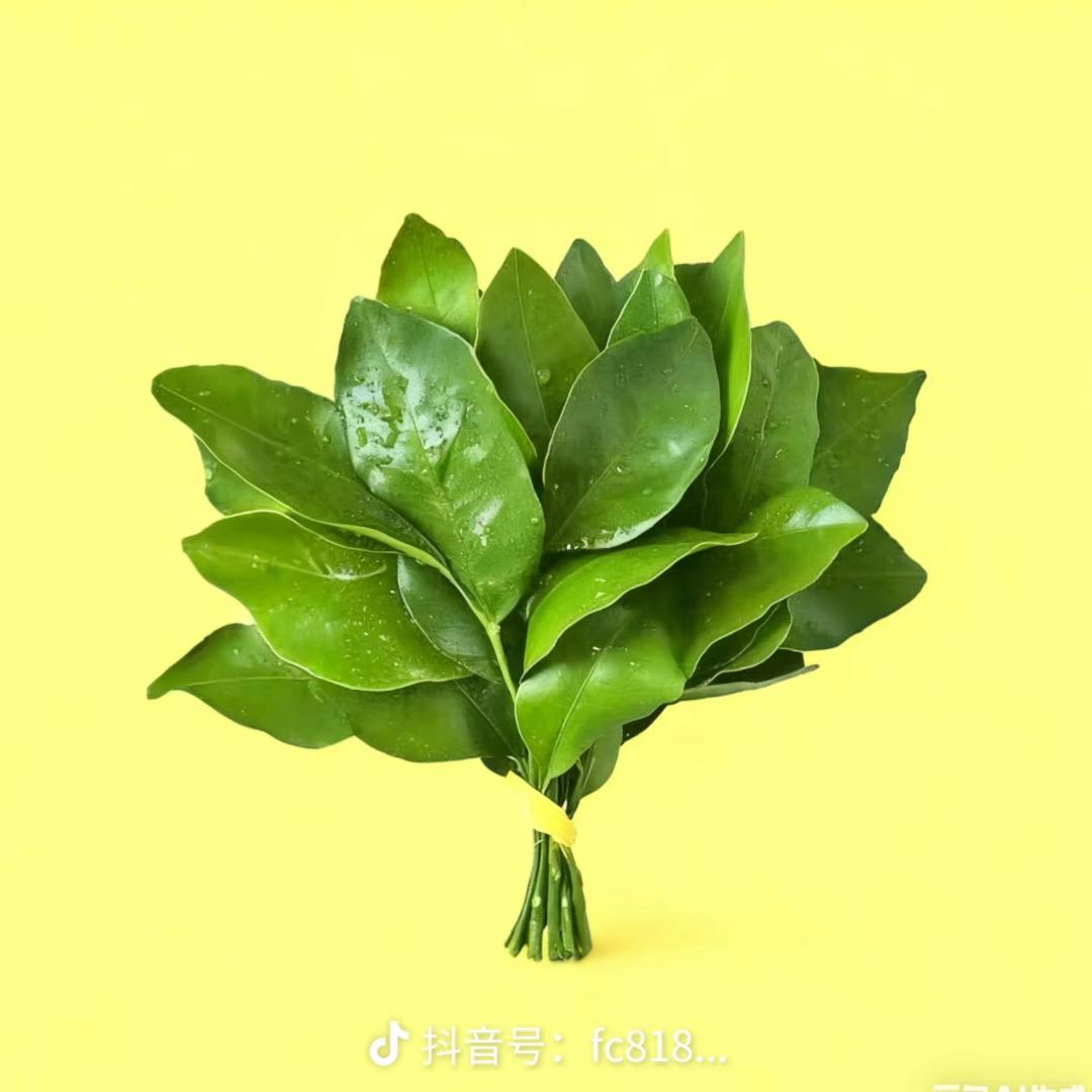 🐮达不溜