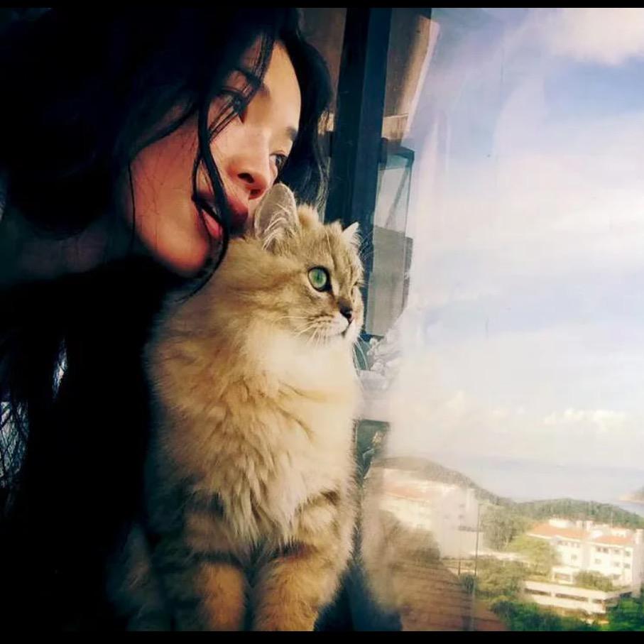 蕃薯红薯萝卜头