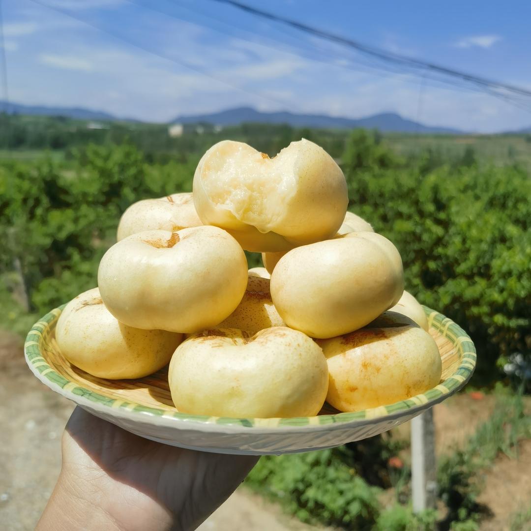 闯山客鲜果