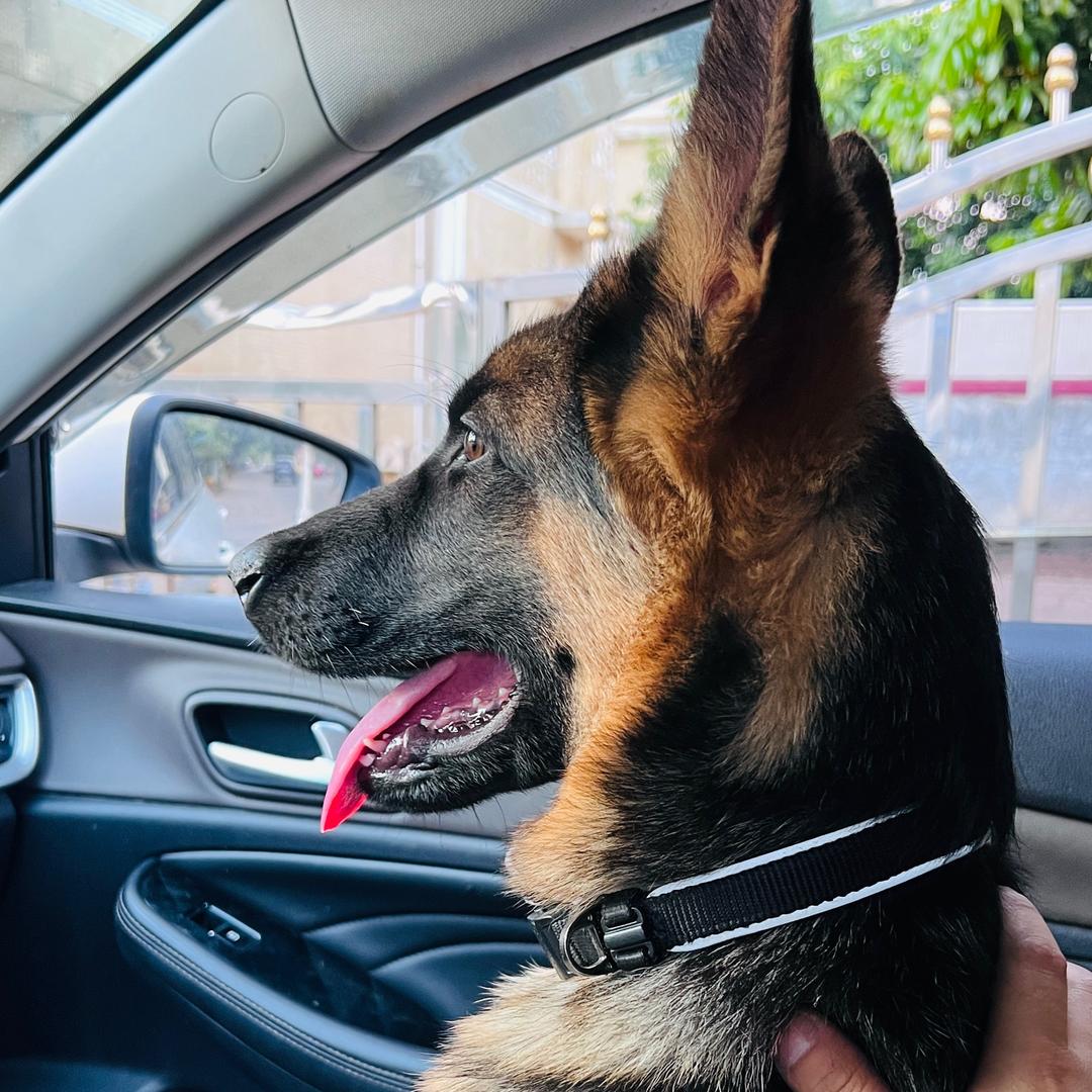 神秘人物 🥷🏾