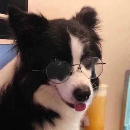 sooka头像