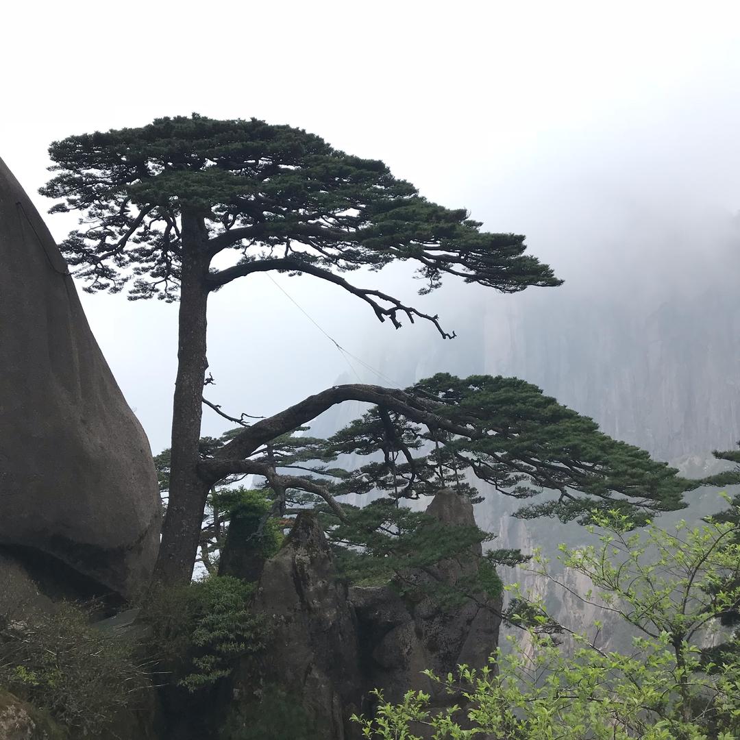 天湖
