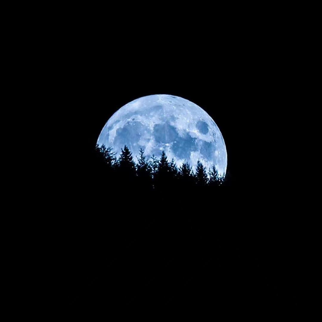 御书阁图书专营店