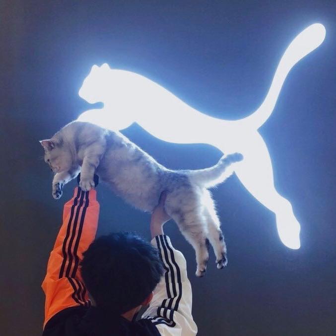 馒头它爹