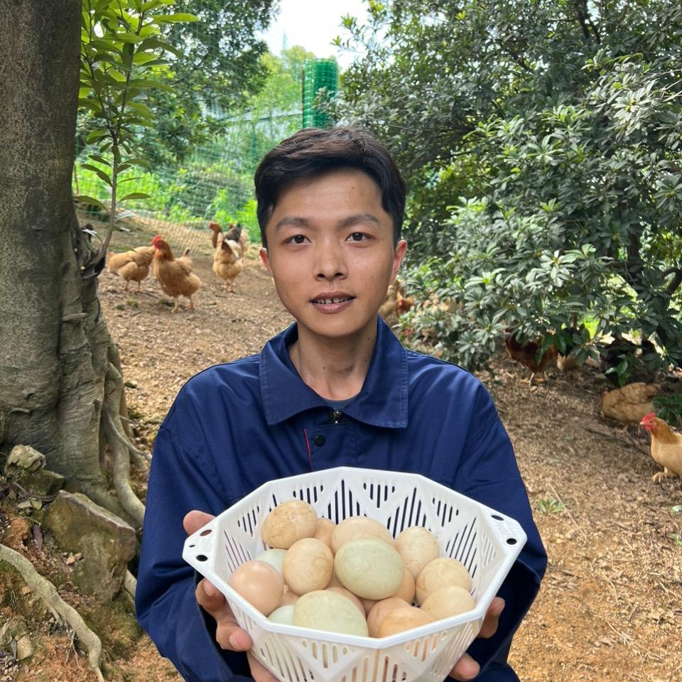 鸡场主松松