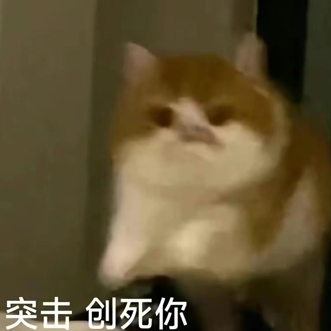 下辈子当赵露思