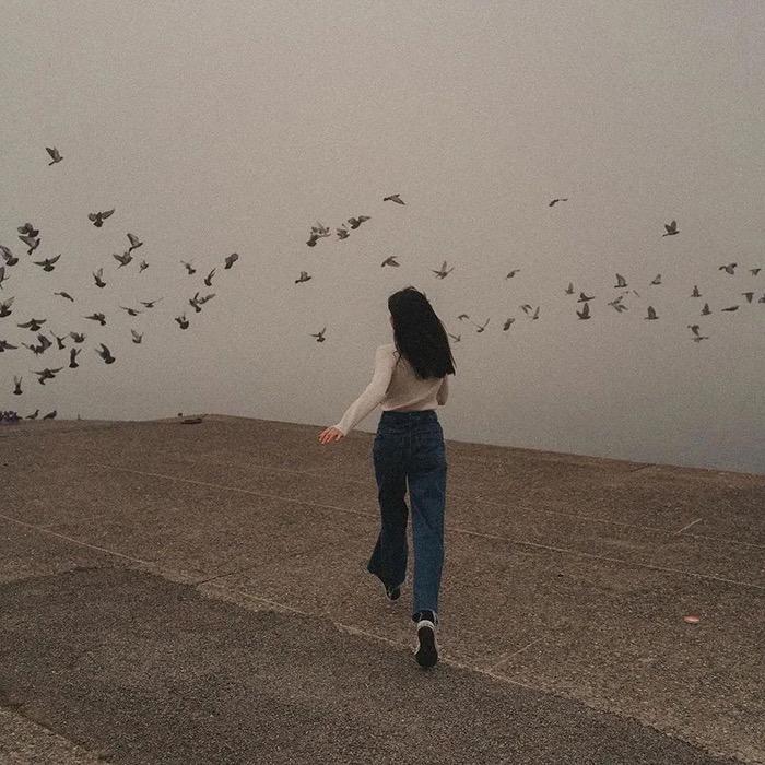 小鱼李同学