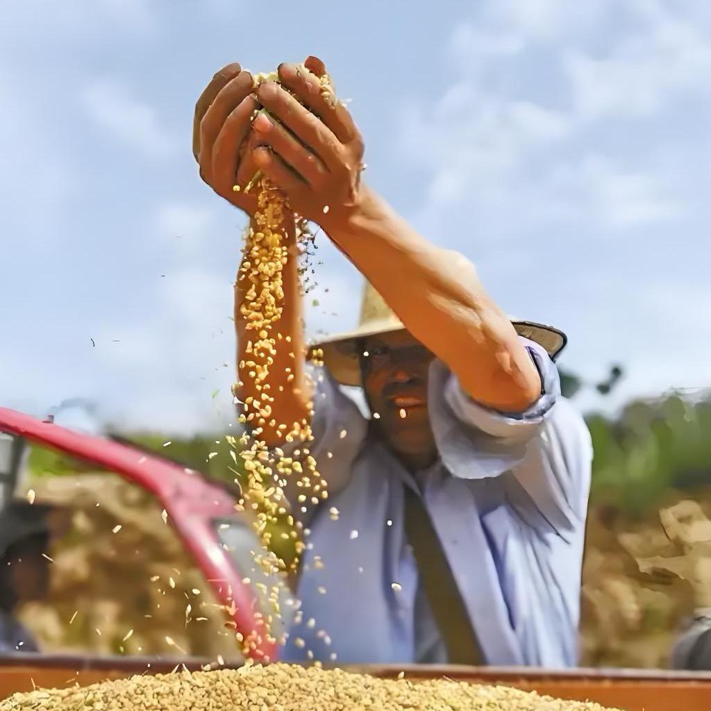 老周助农(商品在橱窗)