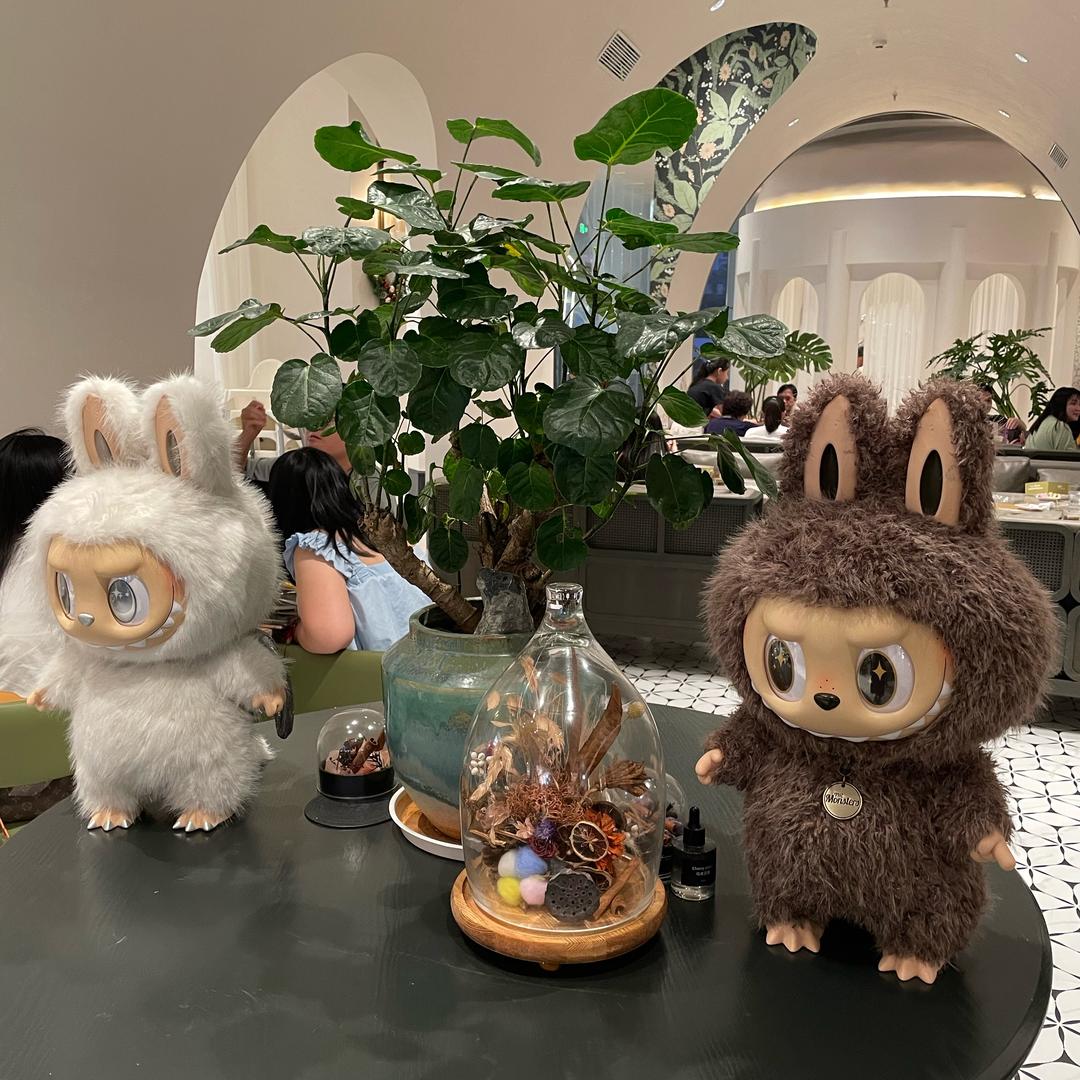 C C的小厨房