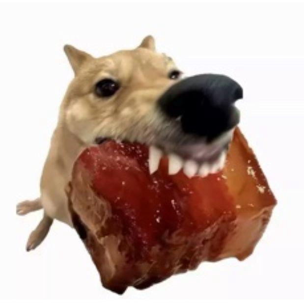 狗子爱吃肉