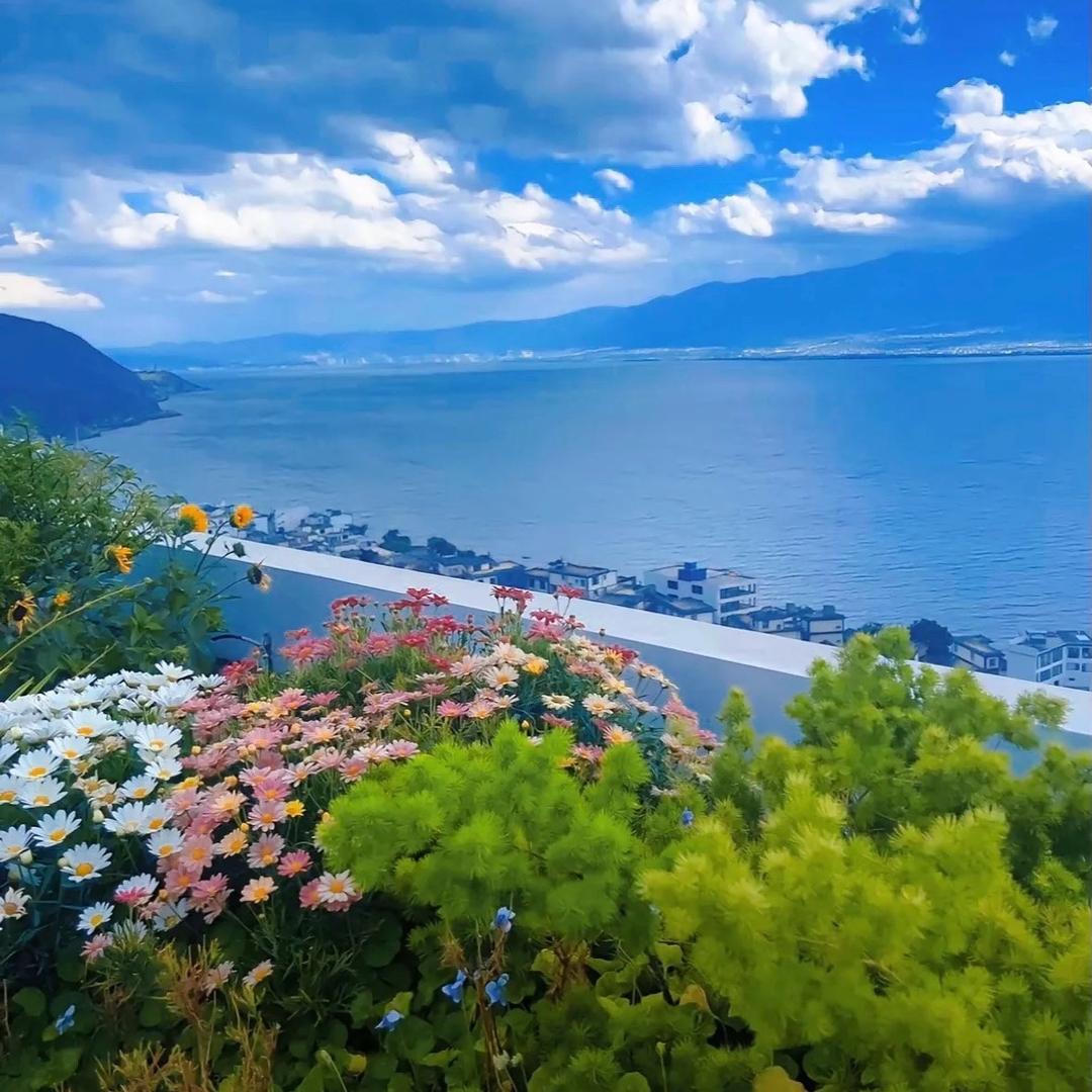 解忧旅游抱团养老