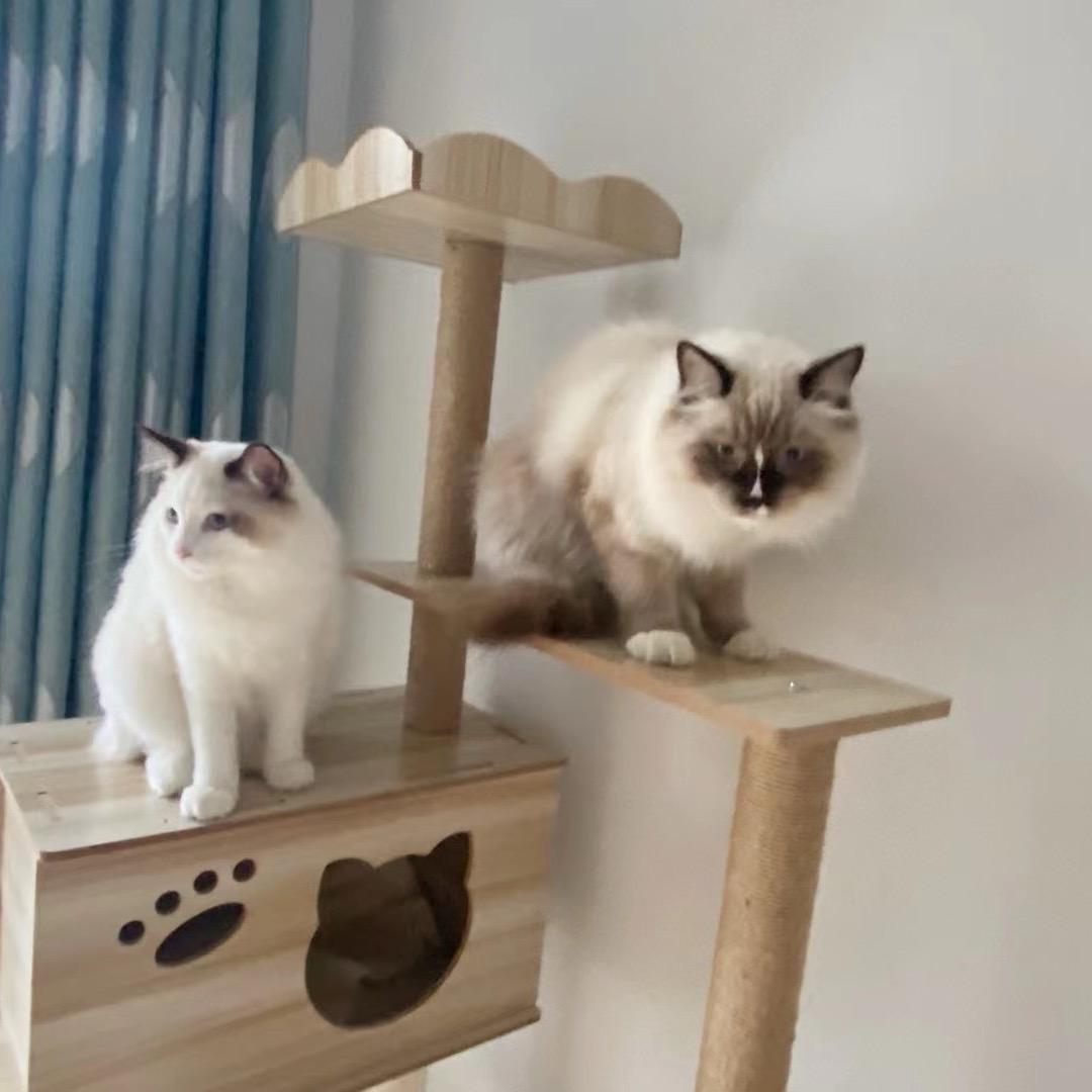 三角洲蕉太狼接3*3