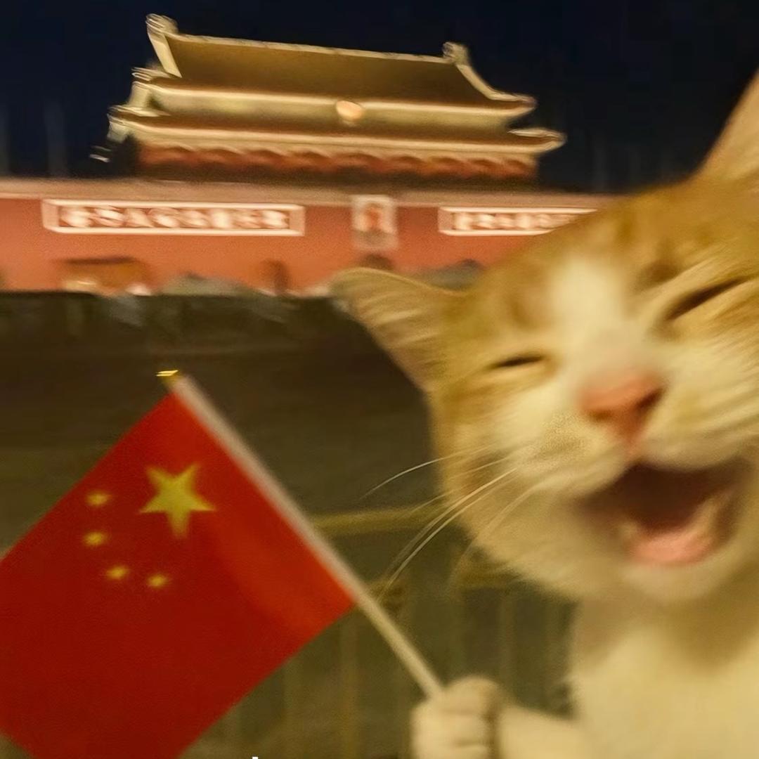 你的赵格格