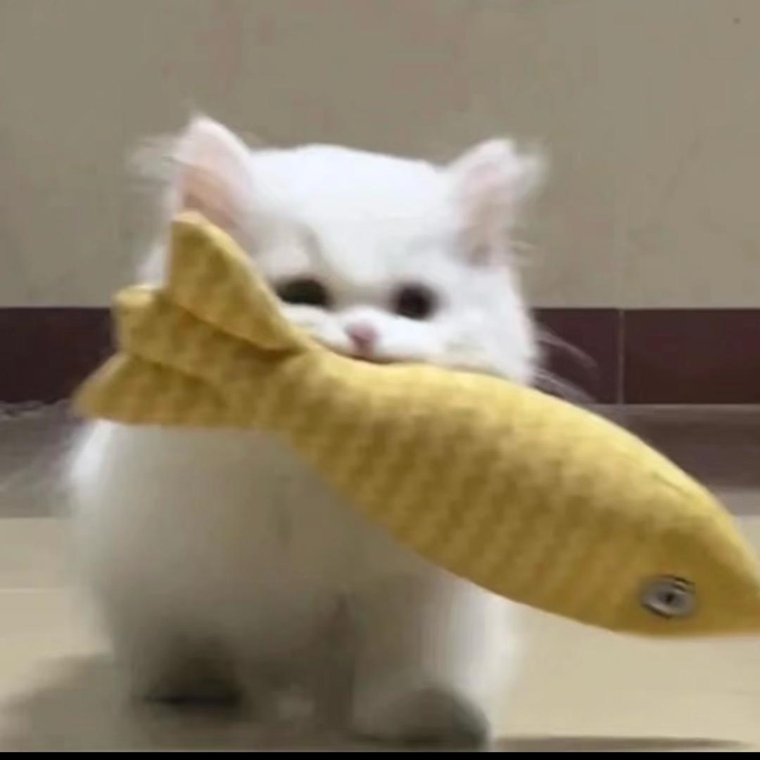 睡着了也困