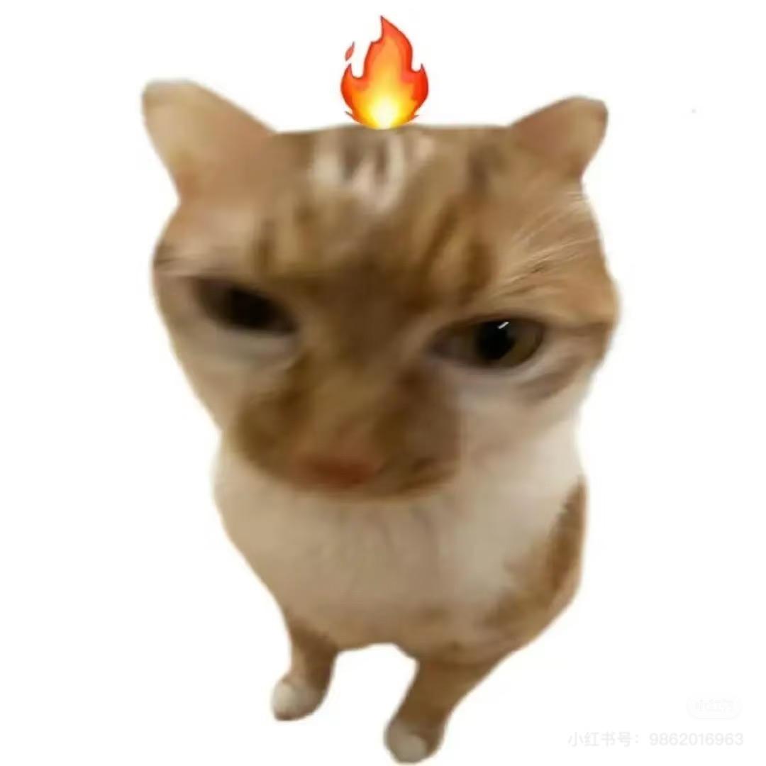 红色加长羽绒服